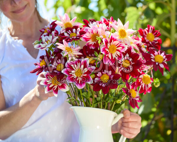 Gemengd halskraag dahlia boeket