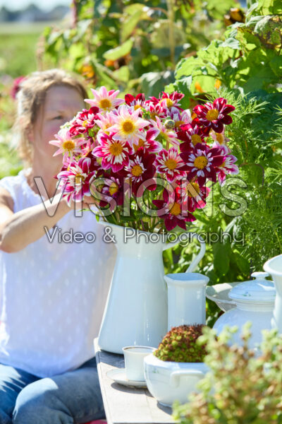 Mixed collerette dahlia bouquet