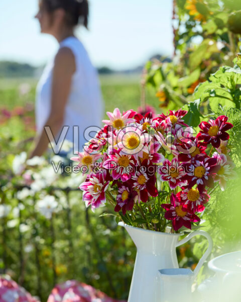 Gemengd halskraag dahlia boeket