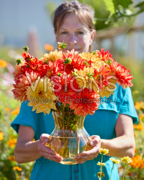 Dahlia bouquet Karma Gold, Karma Fiesta