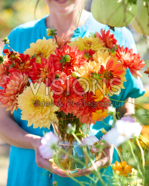 Dahlia bouquet Karma Gold, Karma Fiesta