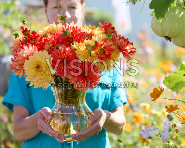 Dahlia bouquet Karma Gold, Karma Fiesta
