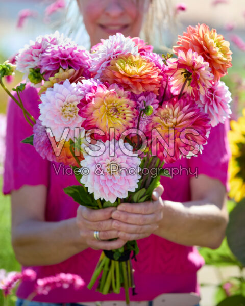 Gemengd boeket decoratieve dahlia's