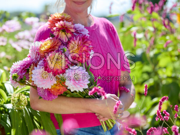 Decorative dahlias mixed bouquet Decorative dahlias mixed bouquet