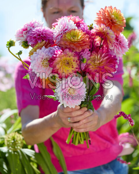 Decorative dahlias mixed bouquet