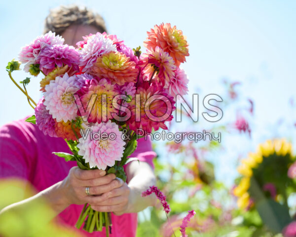 Gemengd boeket decoratieve dahlia's Gemengd boeket decoratieve dahlia's
