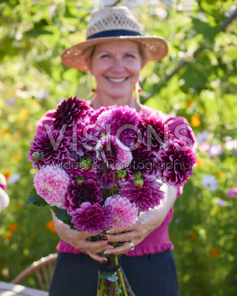 Gemengd boeket decoratieve dahlia's Gemengd boeket decoratieve dahlia's