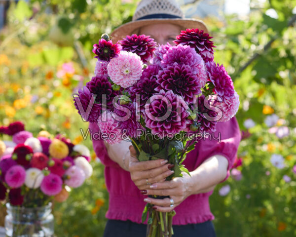 Decorative dahlias mixed bouquet