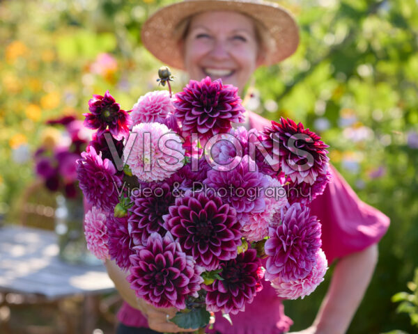 Decorative dahlias mixed bouquet