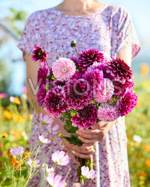 Decorative dahlias mixed bouquet
