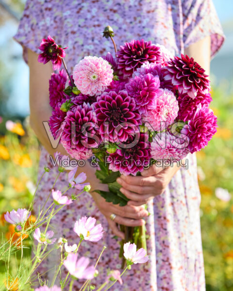 Gemengd boeket decoratieve dahlia's