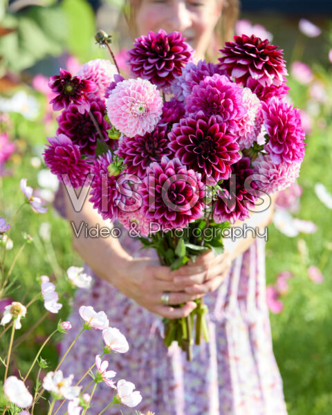 Decorative dahlias mixed bouquet Decorative dahlias mixed bouquet
