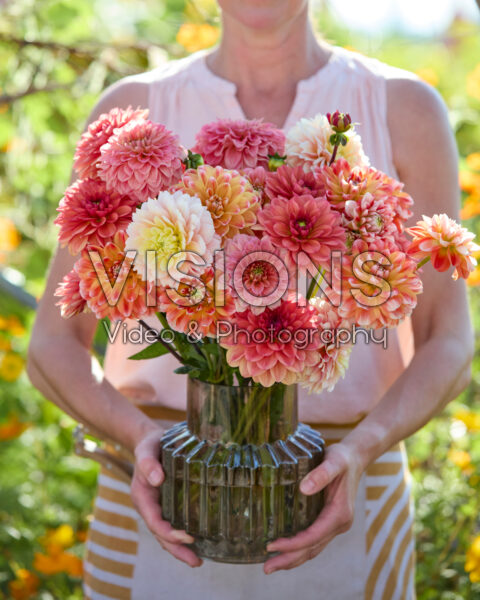 Decorative dahlias mixed bouquet