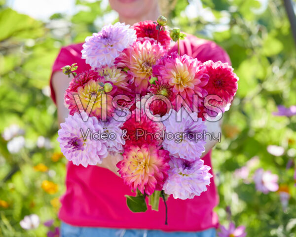 Decorative dahlias mixed bouquet