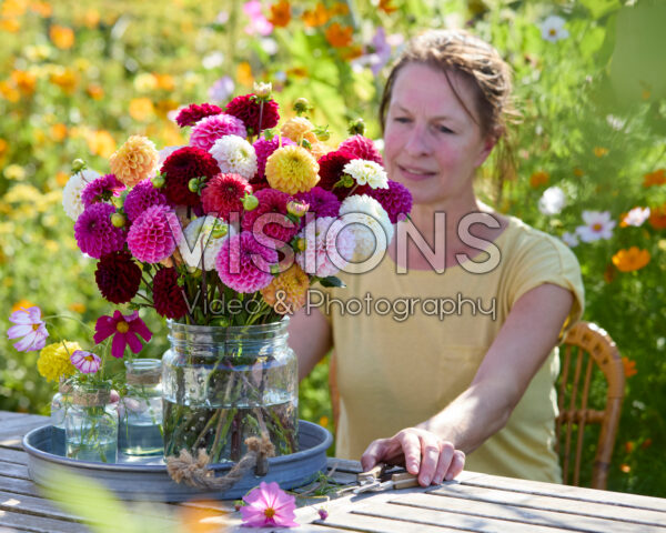 Mixed ball dahlia bouquet Mixed ball dahlia bouquet