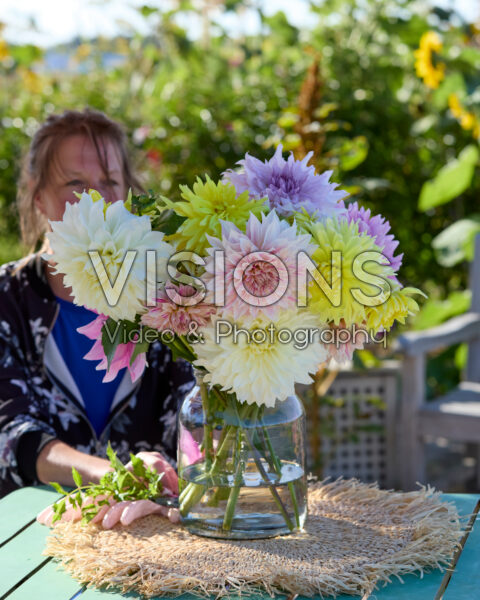 Gemengde dinnerplate dahlia's in boeket Gemengde dinnerplate dahlia's in boeket