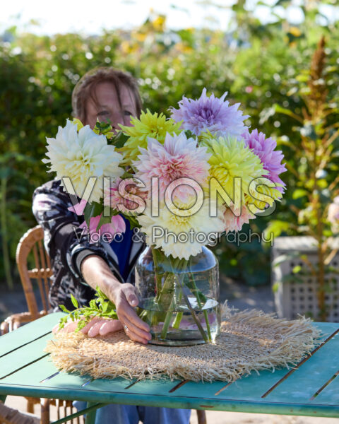 Mixed dinnerplate dahlias in bouquet Mixed dinnerplate dahlias in bouquet
