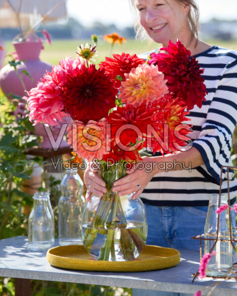 Mixed dinnerplate dahlias in bouquet