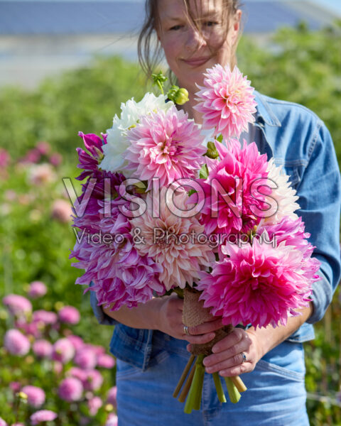 Gemengde dinnerplate dahlia's in boeket
