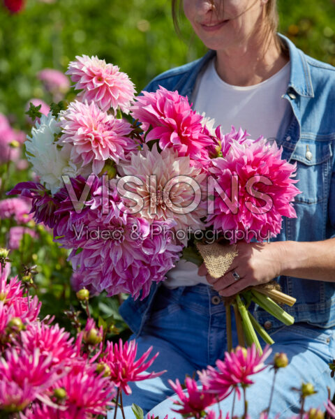 Mixed dinnerplate dahlias in bouquet