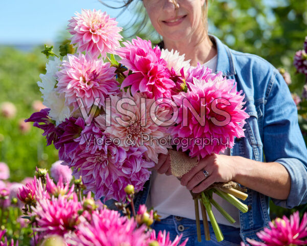 Gemengde dinnerplate dahlia's in boeket