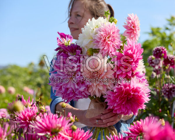 Gemengde dinnerplate dahlia's in boeket