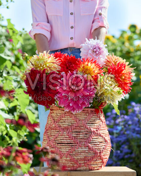 Gemengde dinnerplate dahlia's in boeket