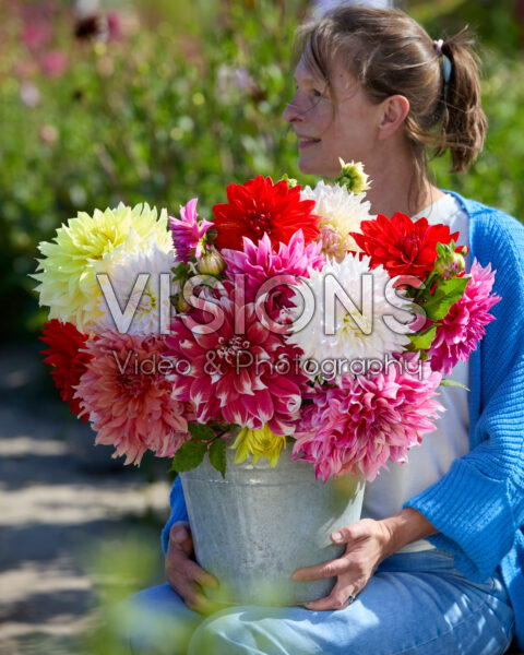 Mixed dinnerplate dahlias in bouquet