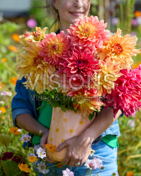 Gemengde dinnerplate dahlia's in boeket