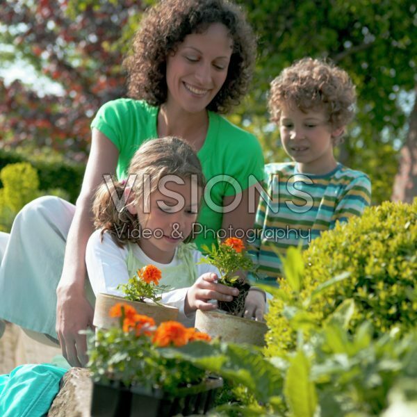 Family planting tagetes