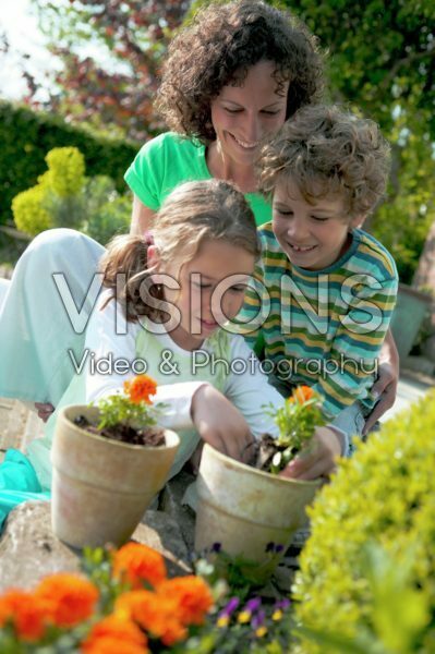 Family planting tagetes