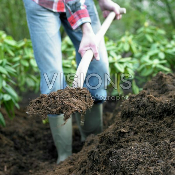 Shoveling organic soil
