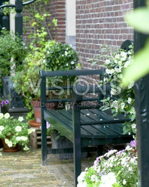 Garden bench and summer containers
