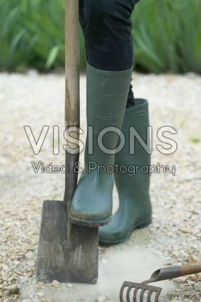 Foot in rubber boot resting on spade