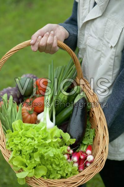 Holding basket with vegetable harvest