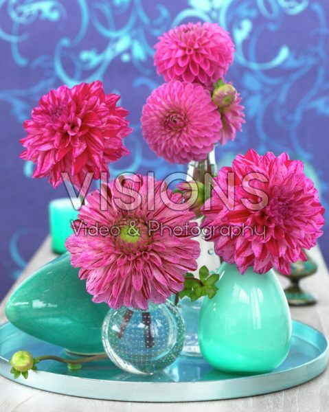 Dahlia arrangement pink