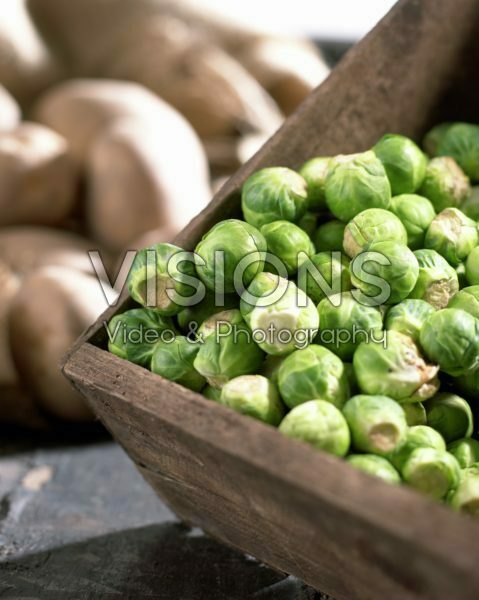 Harvested brussel sprouts