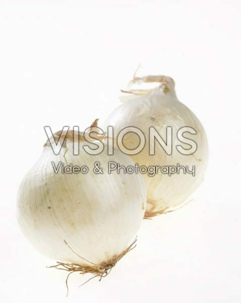 Bright White serie: Allium cepa