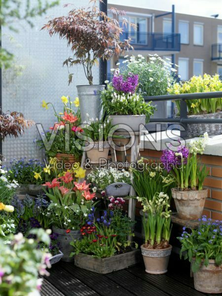 Balcony with spring flowers on pots