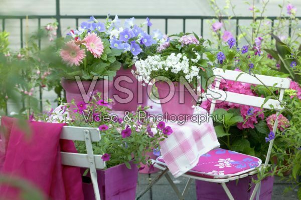 Summer patio with annuals on pots