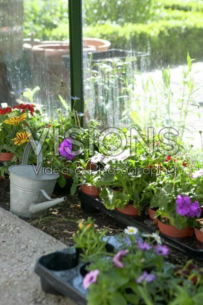 Greenhouse bench with annual flowers