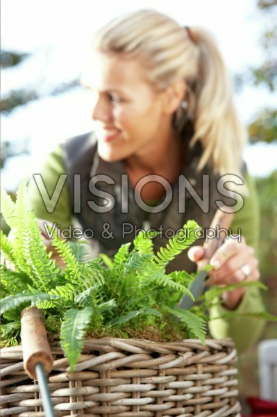 Woman planting ferns in basket