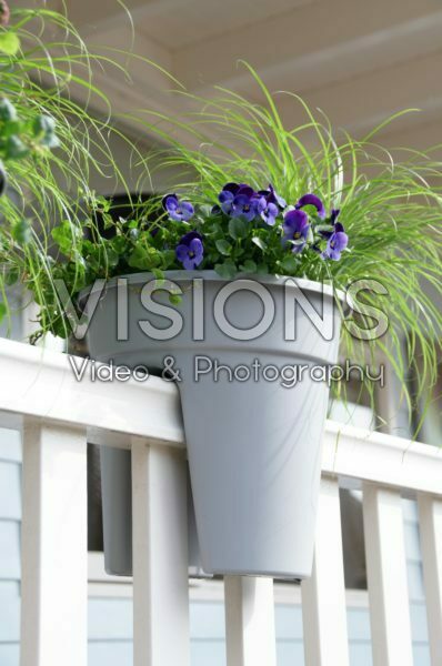 Hanging container on balcony railing