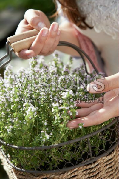 Woman holding thymus