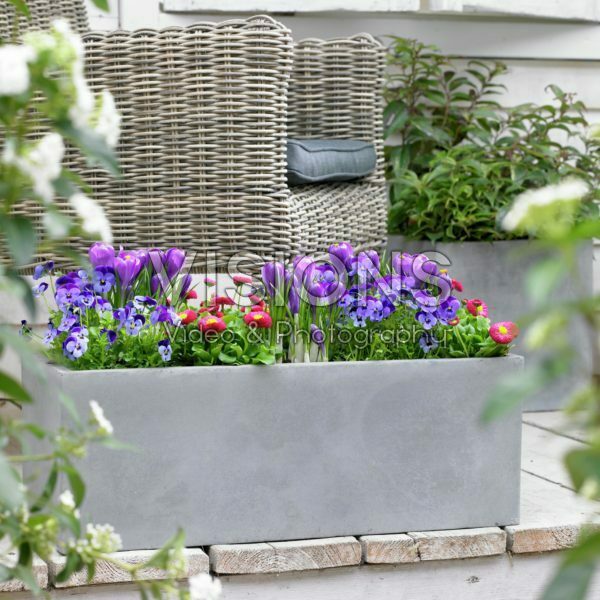 Spring container on terrace