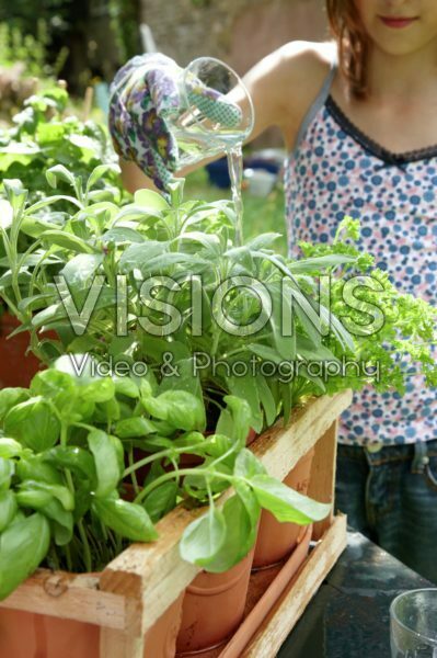 Girl watering herbs 