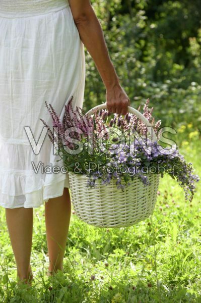Woman holding basket with plants