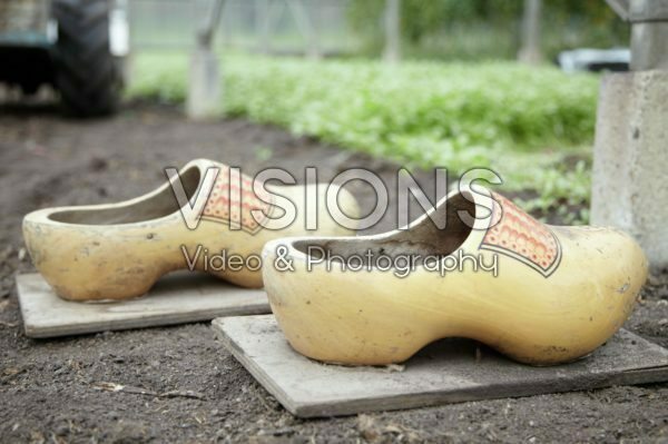 Wooden shoes