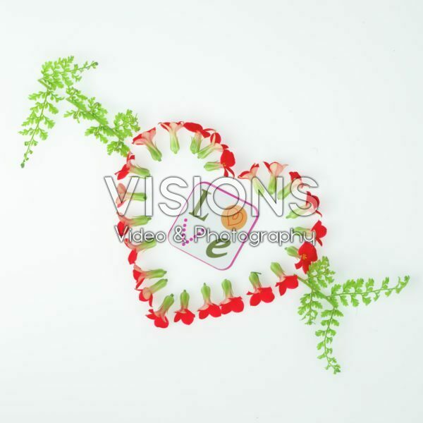 Kalanchoe heart