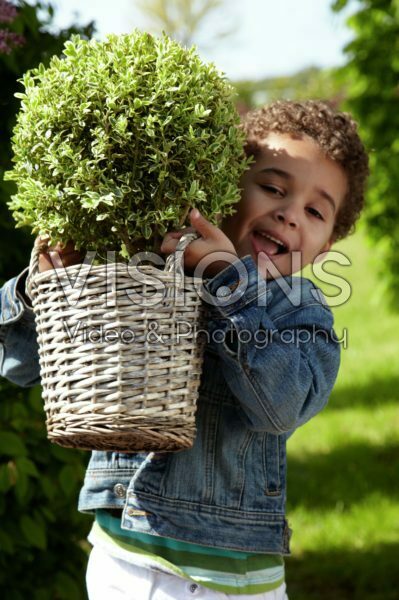 Boy holding shrub